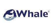 Main Banner